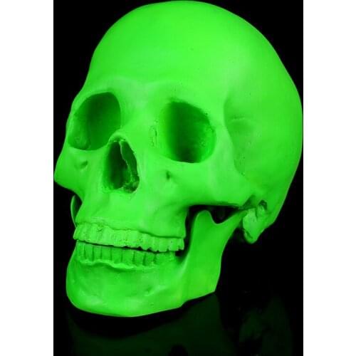 Medical Resin green Skull model Bars Artificial skull Model Halloween Gifts