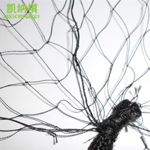 5 pcs/Lot 2.4 x 6 M 20mm Hole Orchard Garden Anti Bird Net Polyester 110D/2 Knotted Sparrow Mist Net
