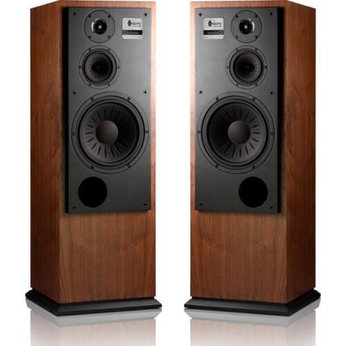 HiFi Hi-end Floor speaker 3 way Loudspeaker 3 way 11 inch fever hifi floor speaker