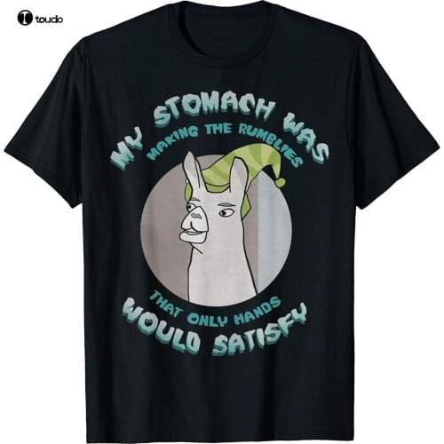 Llamas With Hat My Stomach Was Making The Rumblies T-shirt Vintage Men Gift Tee