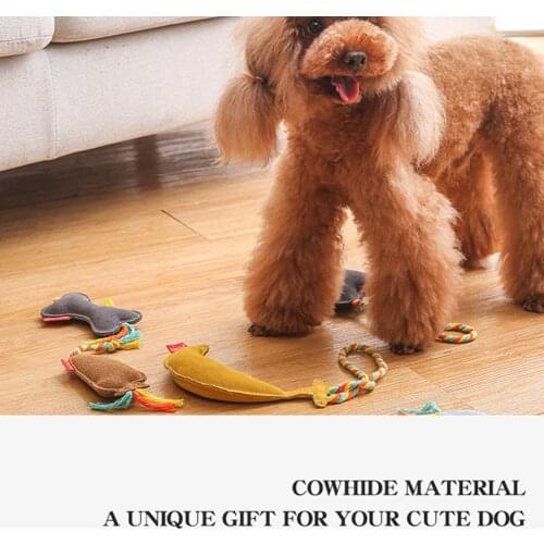 Pet Dogs Bite Resistant Molar Teeth Sonication Toys Cartoon Food Fruit Shaped Funny Interactive Toys Pet Supplies Accessories