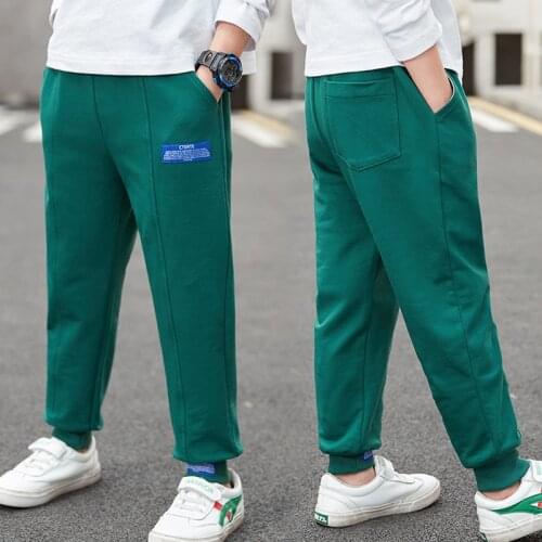 Charming Spring Summer Thin Casual Pants Boys Kids Trousers Children Clothing Teenagers School Cotton Formal Sport High Quality