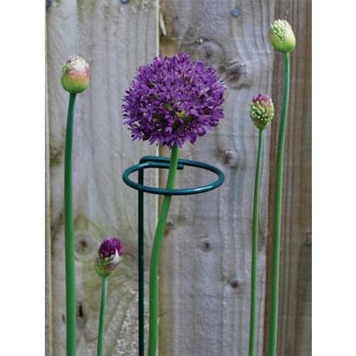 5Pcs Plant Climbing Trelli Metal Flower Climbing Stake Support Garden Stand Rack Climbing Vine Bracket Decorative Trellis Brack