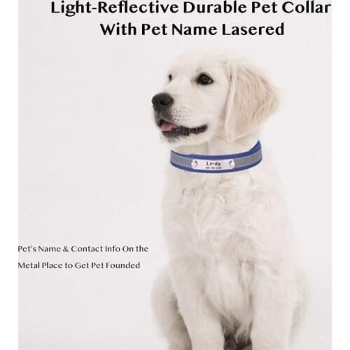 Small Pet Collar for Dog Cat Reflective Round Adjustable Necklace With Free Custom Name Lettering Service on the Tag