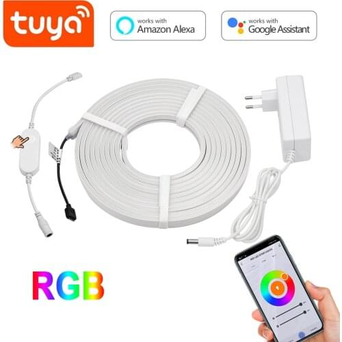 Dc12V Tuya WIFI RGB LED Neon Rope lights With Voice Control 1/2/3/4/5M Flexible Strip Lamp For closet wardrobe backlight Decor