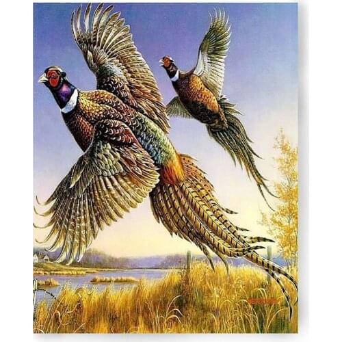 Adult Paint By Number Kits on Canvas 40 x 50cm DIY Acrylic Painting Kit for Kids & Adults Beginner - Pheasants Animals