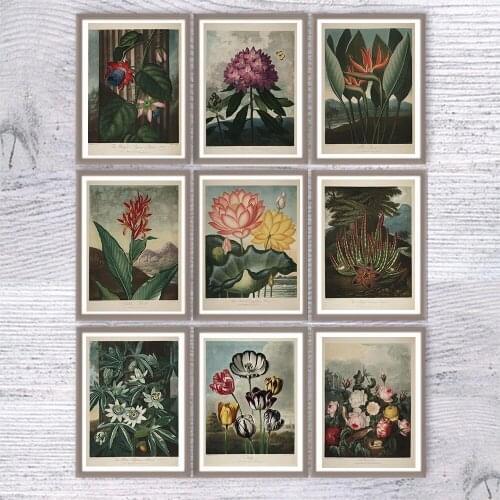 Abstract Flower Botanical Vintage Minimalist Wall Art Canvas Painting Illustrations Posters And Prints Pictures For Living Room