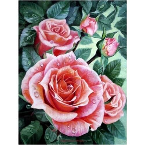 Counted Cross Stitch Kits Needlework Embroidery - Crafts 14 ct Aida DMC Color DIY Arts Handmade Home Decor - Morning Roses