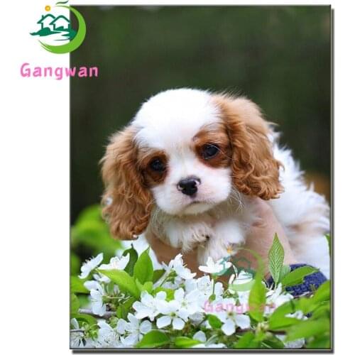 Pet dog 5D Diamond Painting DIY Cavalier King Charles Spaniel Full Round Drill Diamond Painting cute puppy Home Decoration Gift