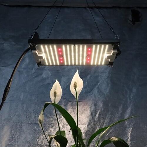 Kingbrite 120W QB288 LM301H mix Red CREE XP-E2 660nm IP65 waterproof for indoor grow light