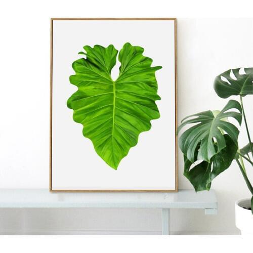 Large Heart Shaped Tropica Taro Leaf Canvas Art Print Poster , Watercolor Green Jungle Leaf Wall Pictures For Home Decoration