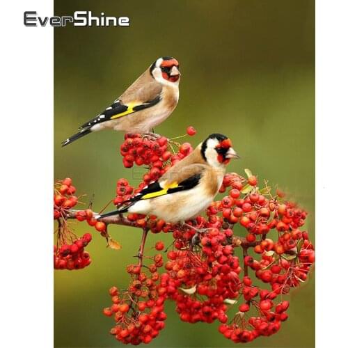 EverShine Full Square Diamond Painting Bird Cross Stitch Rhinestones Art Diamond Embroidery Sale Animals Handwork Home Decor