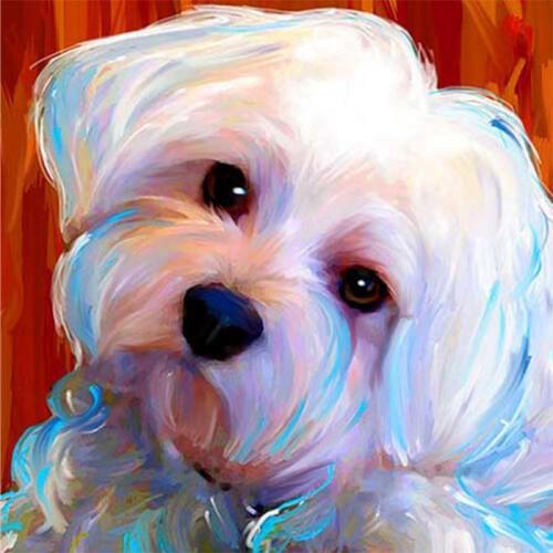 Lap dogs maltese dogs full square Diamond Embroidery Flower 5d diy diamond Painting full round drill Rhinestone
