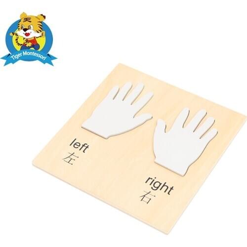 Montessori material Left and Right hand Plywood puzzle toy