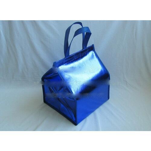 6-8-10 inch Insulated Picnic Cooler Bags Cake Pizza Lunch Picnic Box Insulated Cool Handbags Ice Pack Thermo Portable Insulation Pouch smlg9