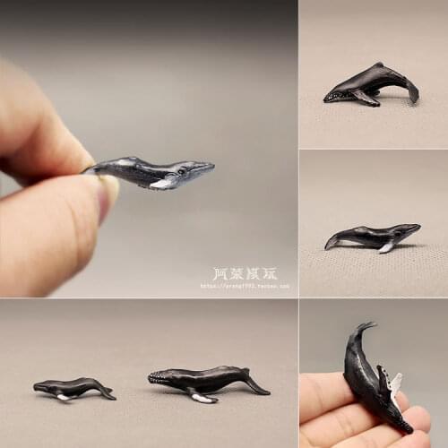 Sea World Animal Model Mini Beluga Humpback Whale Ocean Fish Doll Ornaments DIY Epoxy Hand Made Figurine Action Figure Toy Decor