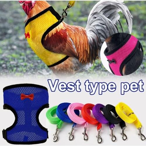 Newly Chicken Hen Harness with Leash Adjustable Wearing Mesh Pet Vest Leash for Dog Duck Cat 5 Sizes