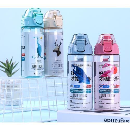 500ml Water Bottle Portable My Bottles For Women Girl Outdoor Flamingo Fashion Leak Proof Cartoon