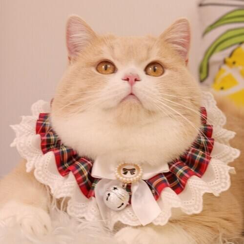 Puppy Pet Accessories Dogs Lace collar, bib saliva towel, photo accessories