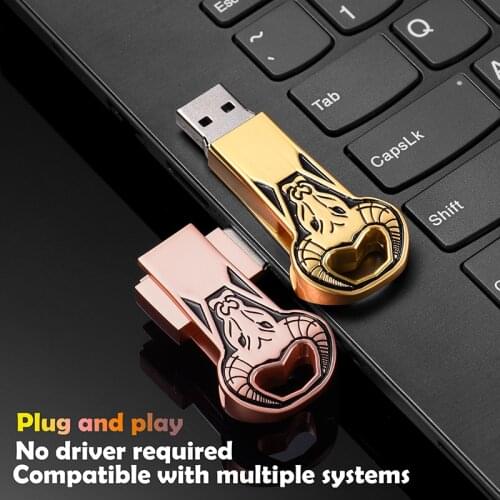 Flash Disk USB 2.0 Flash Disk Mobile Large Capacity 128GB Portable Drive Metal Shockproof Memory Stick U Disk Birthday Gift