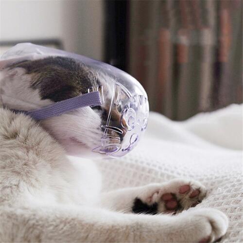 Pet Anti Bark Mask Cat Breathable Anti Bite Mouth Muzzle Kitten Plastic Beauty Bath Travel Tool With Hole Cleaning Supplies