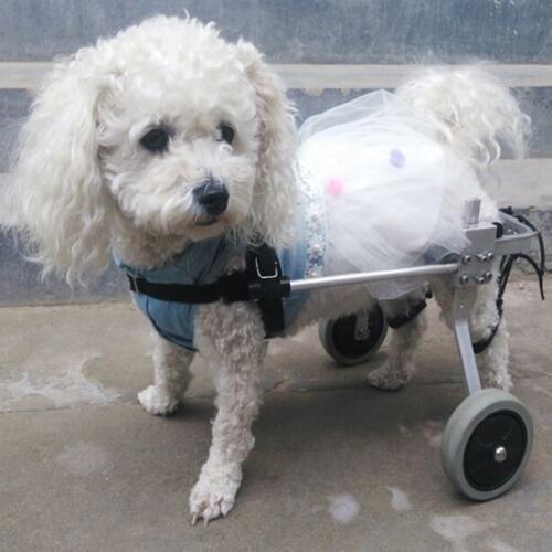 S/M/L Light Portable Adjusted Taken Apart Pet Wheelchair Walk Traction Rope Cart Kit For Handicapped Cat Dog Doggie Puppy Choose
