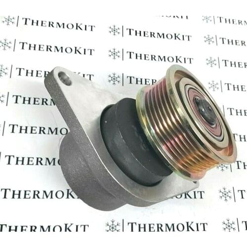 THERMO KING Spare Parts For Engines