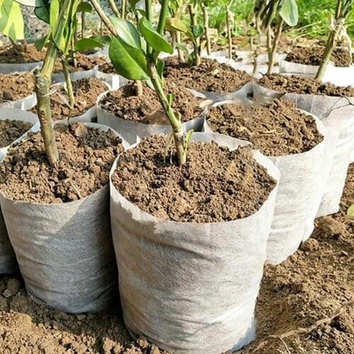 100Pcs -Degradable Corrosion Resistant Non-woven Fabric Nursery Bag