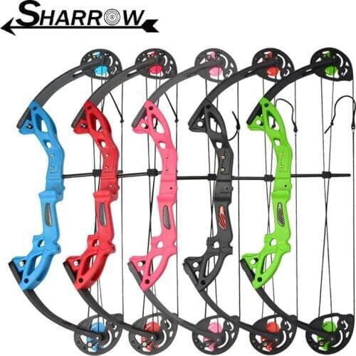 1Set 15-29lbs Archery Compound Bow Gift Teens Beginner 260fps Profession Bow and Arrow For Shooting Training Accessories