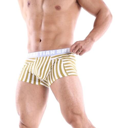 Cotton Men Boxer Underwear Mens Breathable Quick Dry Shorts Man Underwear Cueca Panties Boxershorts Gifts for Men