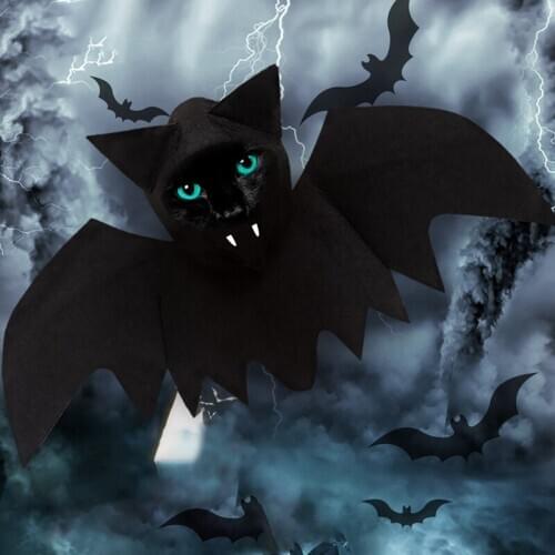 Halloween Cosplay Pet Cat Bat Wings Funny Costume For Dogs Cats Halloween Bat Wings Pet Costume Kitten Outfits Wings