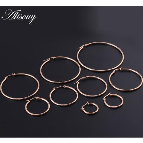 1 Pair Rose Gold Women earring jewelry 316L Stainless Steel Hoop Earring for girl women Jewelry Hoop Earrings