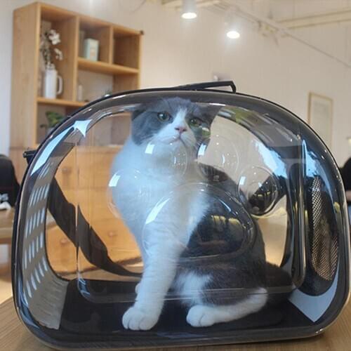 Folding Travel Cat Dog Carrier Bag Transparent Outdoor Puppy Dog Cat Carrying Bags Small Pet Handbag Soft Dog Kennel Backpack