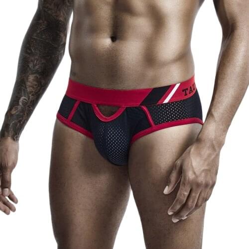 TAUWELL MENS BRIEFS UNDERWEAR calecon homme unterhosen herren sous vetement slips homme ropa interior hombre