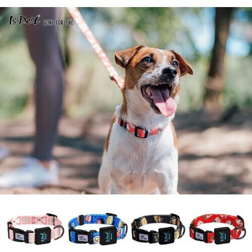 Dog Collar Cat Pet Puppy Luxury Designer Christmas Dog Collar for Chihuahua Pitbull French Bulldog Pomeranian Pomerania Big Dogs