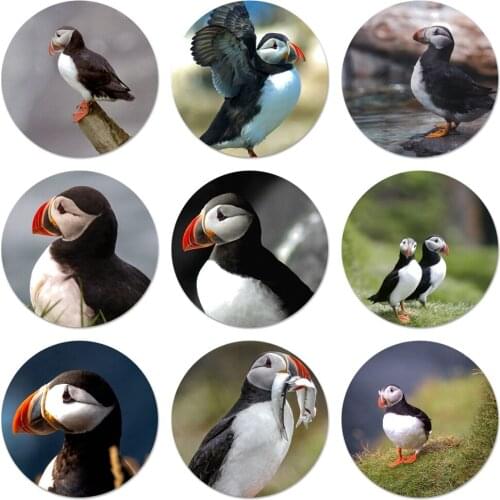 Atlantic Puffin Faroe Islands Icons Pins Badge Decoration Brooches Metal Badges For Clothes Backpack Decoration