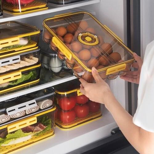 18/24 Grid New Refrigerator Food Containers PET Plastic Transparent Frozen Thickened Timekeeping Egg Fresh-Keeping Box