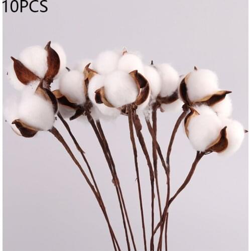 Naturally Dried Cotton Flowers White Decorative Real Plant Branch Bouquet Home Flower For Living Room Decoration