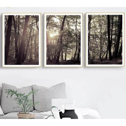 Tree Forest Sunshine Landscape Wall Art Canvas Painting Nordic Posters And Prints Wall Pictures For Living Room Bedroom