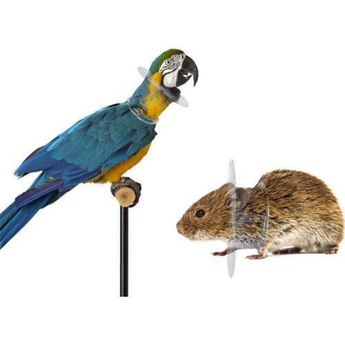 Bird Protective Bead Parrots Collar Anti Feather Picking Ring Anti-Plucking Anti-Grab Collars Elizabethan Collar For Bird