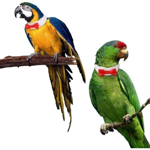 Pet bird clothes handmade custom parrot bird collar bow tie tie pet clothing decoration accessories rabbit puppy cat bow tie