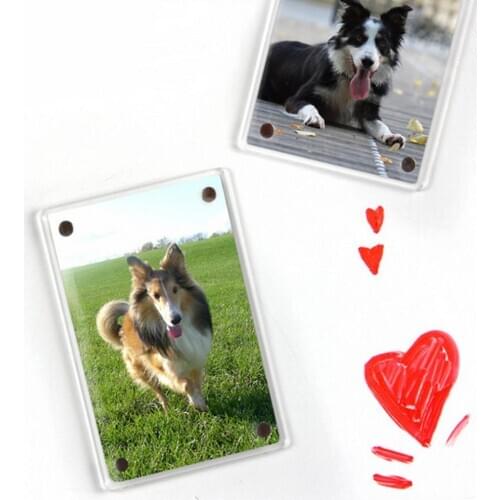 1 set Magnetic Picture Frames Clear Photo Frame Magnetic Picture Frames With Strong Magnet Magnetic Photo Frame for Refrigerator