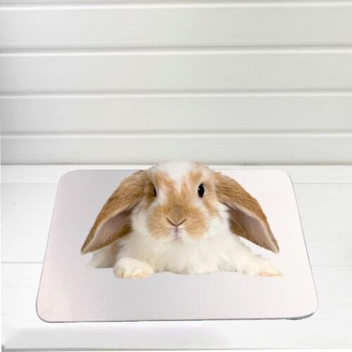 30*20cm Pet Heat-Dispersing Metal Cooling Plate Pads Hamster Heat Sink Ice Mat Pet Rabbit Chinchilla Mat Cooling Board
