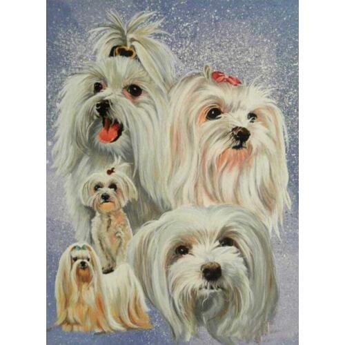 Diamond embroidery dog,diamond painting animals,Maltese Dog,5d diamond diy painting