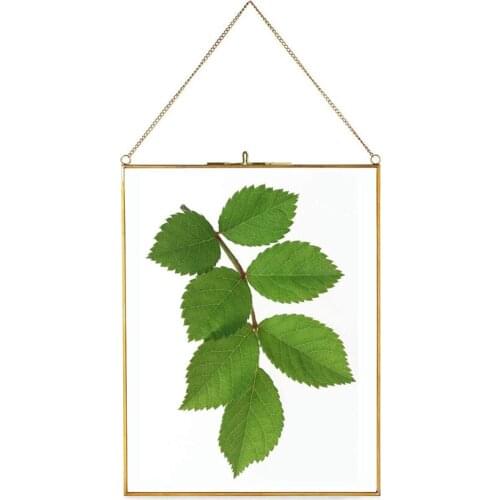 Brass Hanging Photo Frame, Copper Glass Picture Frames Clip Modern Wall Decor Plant Specimen Artwork Display Gold A4 Size