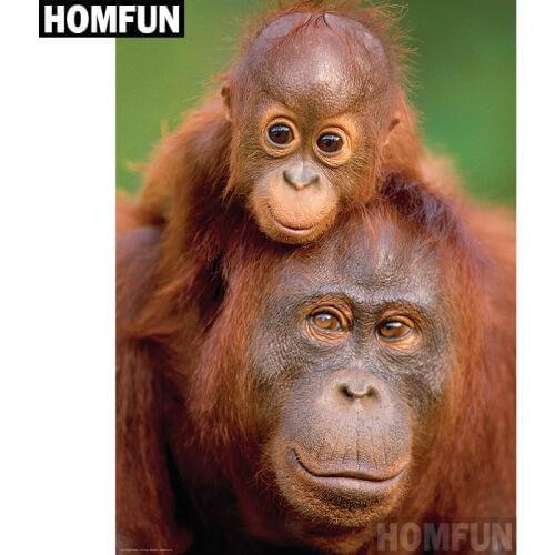 HOMFUN Full Square/Round Drill 5D DIY Diamond Painting "Animal orangutan" Embroidery Cross Stitch 5D Home Decor Gift A06850