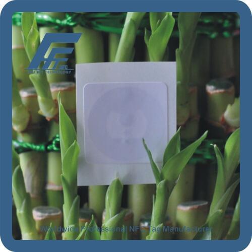 NFC Adhesive Labels All Mobile Phone Available NTAG213 NFC Smart Tag 100PCS