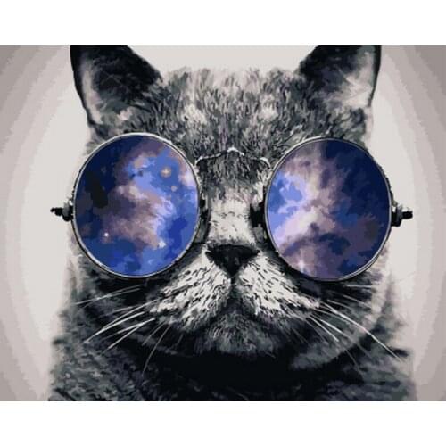 Frameless diy painting by numbers animals wall decor picture by numbers for home decor 4050cm black cat with glasses