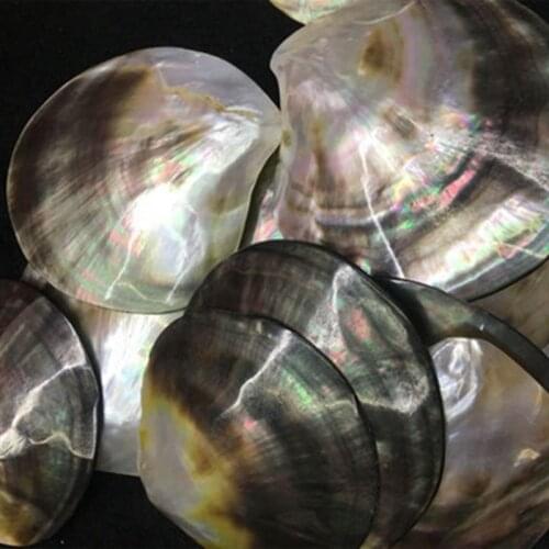 60-70MM 10Pcs 100% Natural Black Shell Style (No Hole）Jewellery Earring Charms Pendants Jewelry Accessories Findings