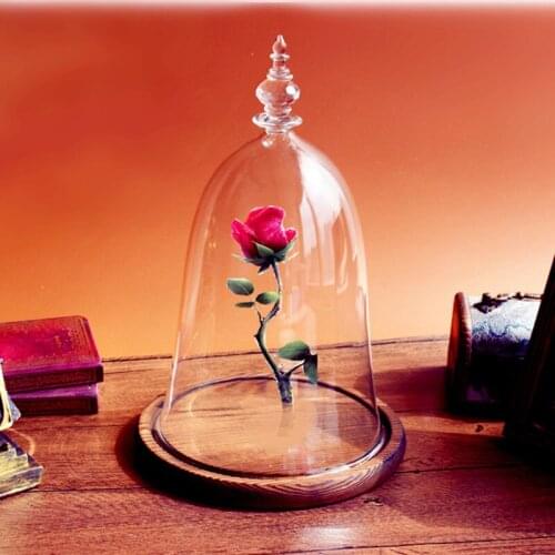 10*15cm Small Size Higher Top Glass Dome Vase Home Decoration Little-Prince Transparent Cover Friend Gift Wedding Prop
